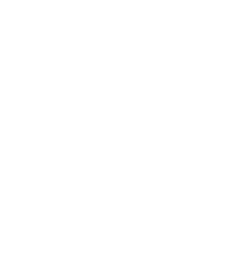 CEO Capital